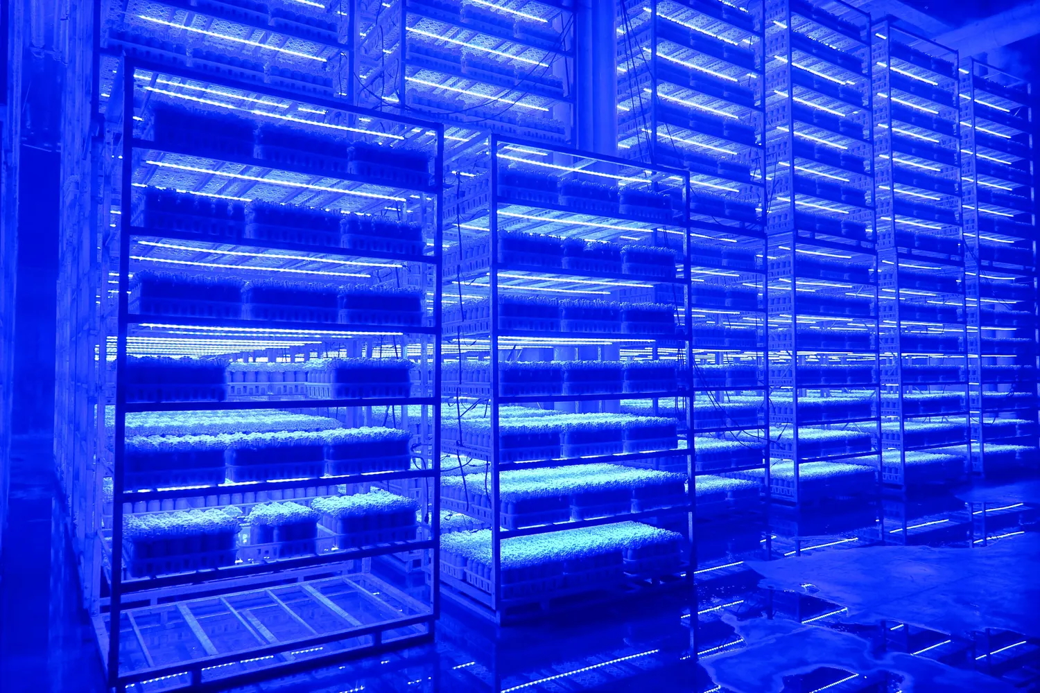 Chengdu Fengke Biotechnology Co., Ltd.