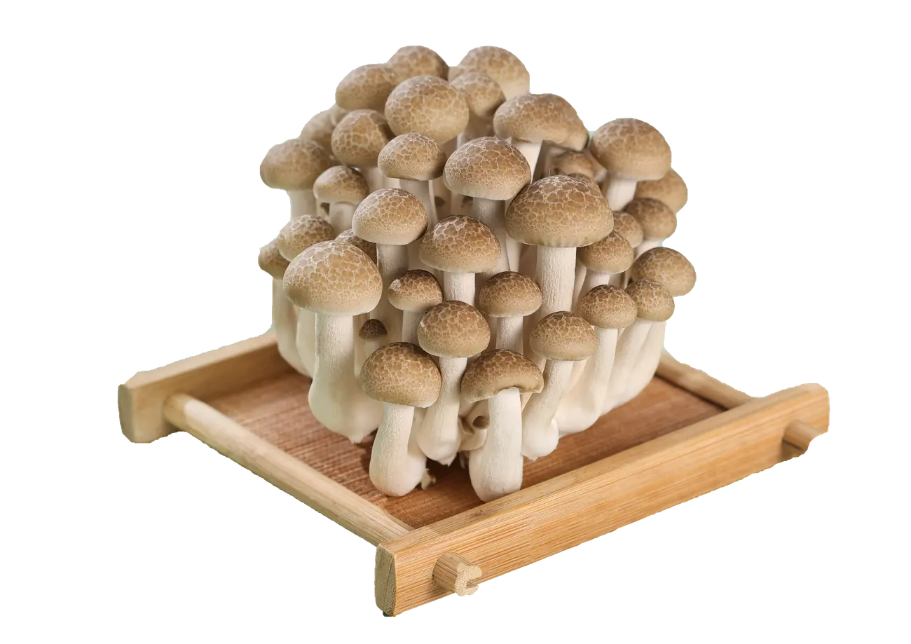 蟹味菇2