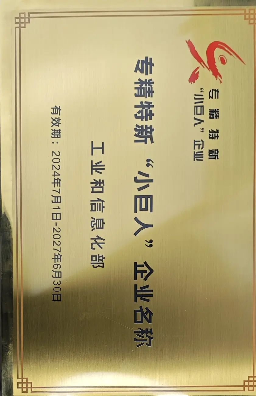 国家级专精特新小巨人企业