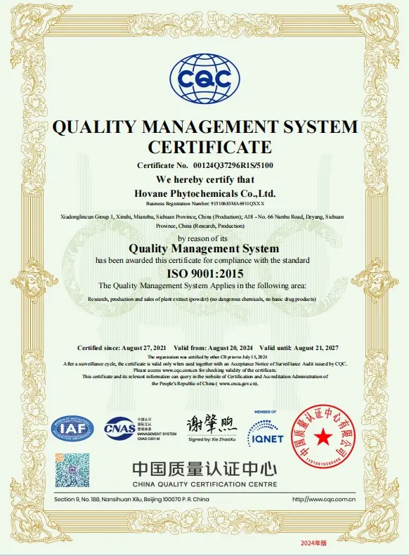 ISO9001
