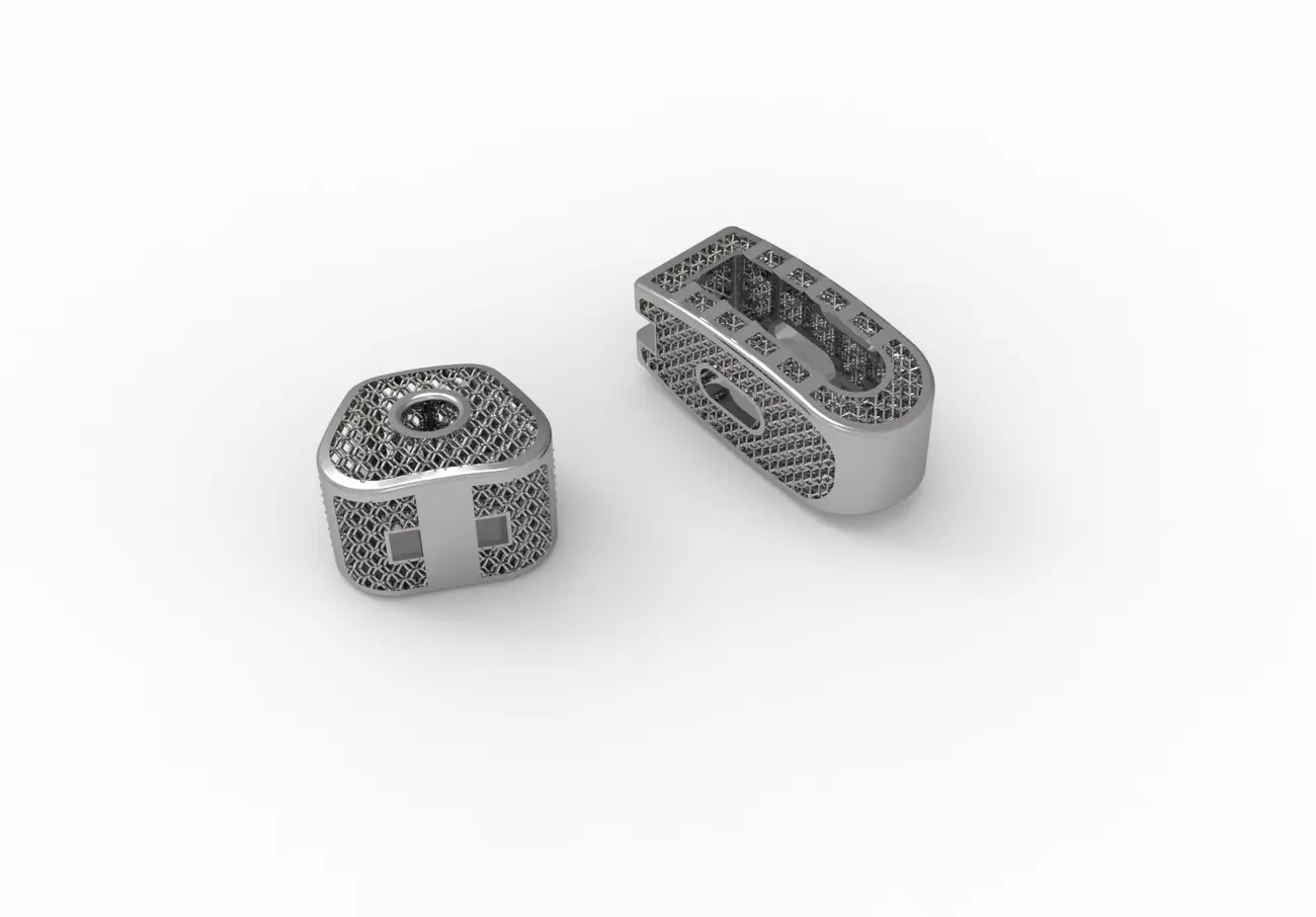 产品2：产品实物图1-增材制造椎间融合器