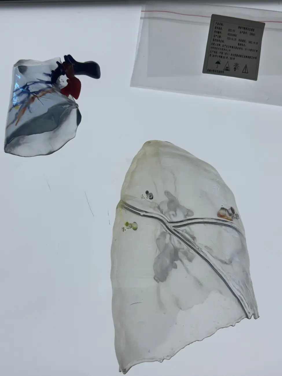 产品4：产品实物图-肺结节定位模型
