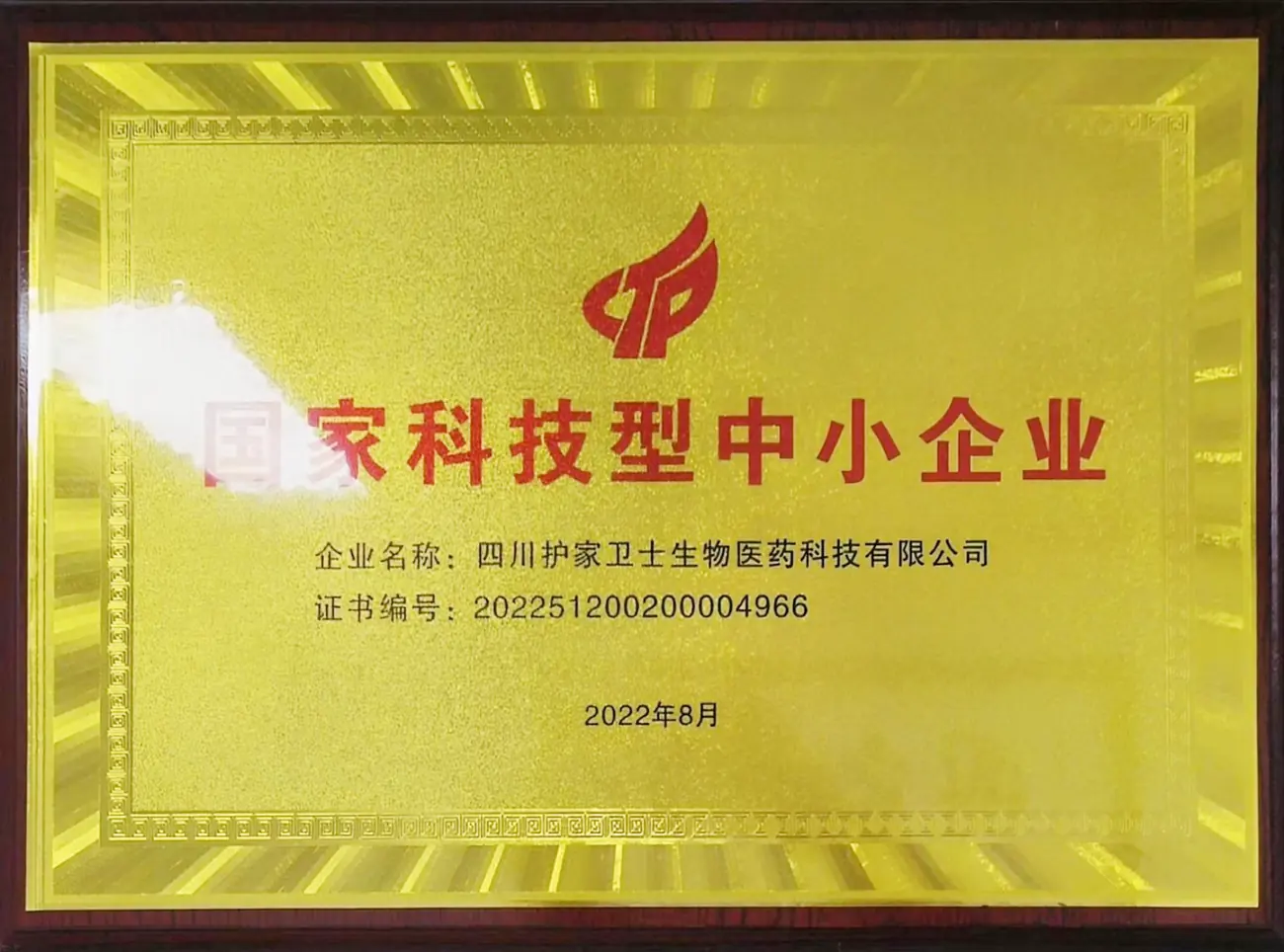 国家科技型中小企业证书